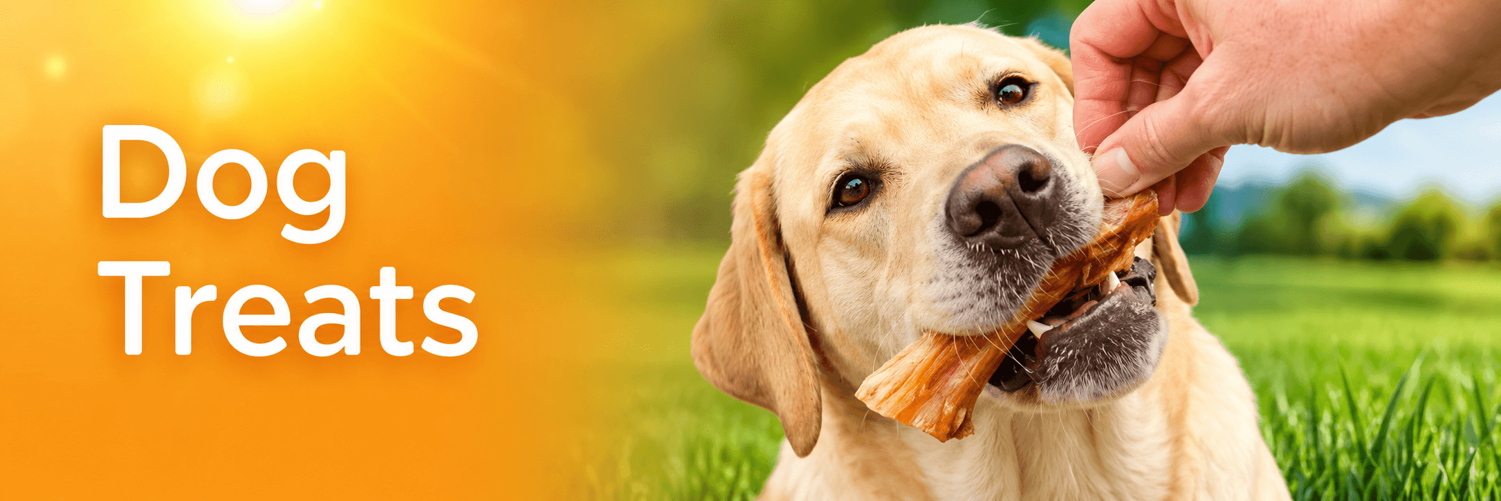 Dog Treats